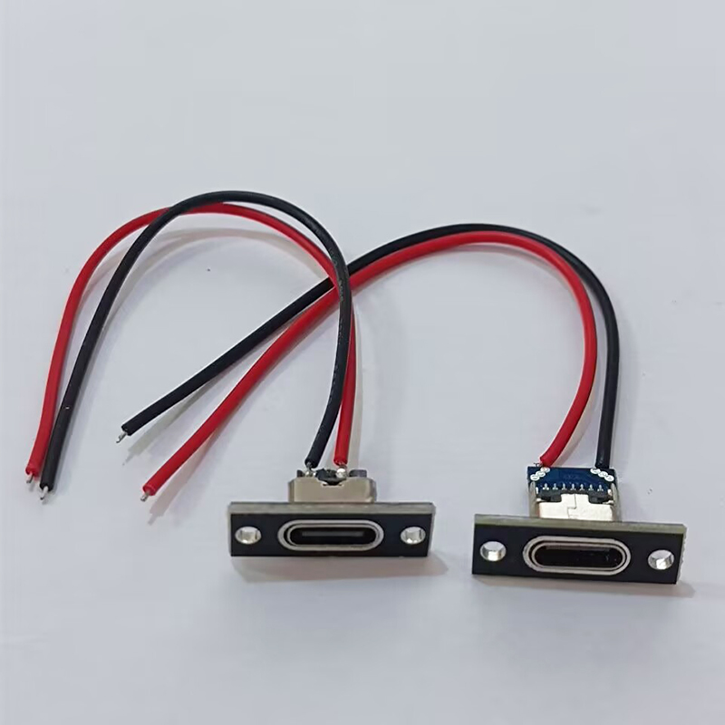 Conector USB tipo C de 2 pines - Small Appliances reseña y precio